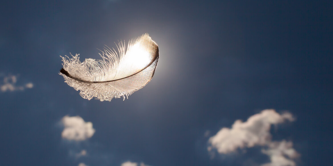 Feather floating in sunlit sky