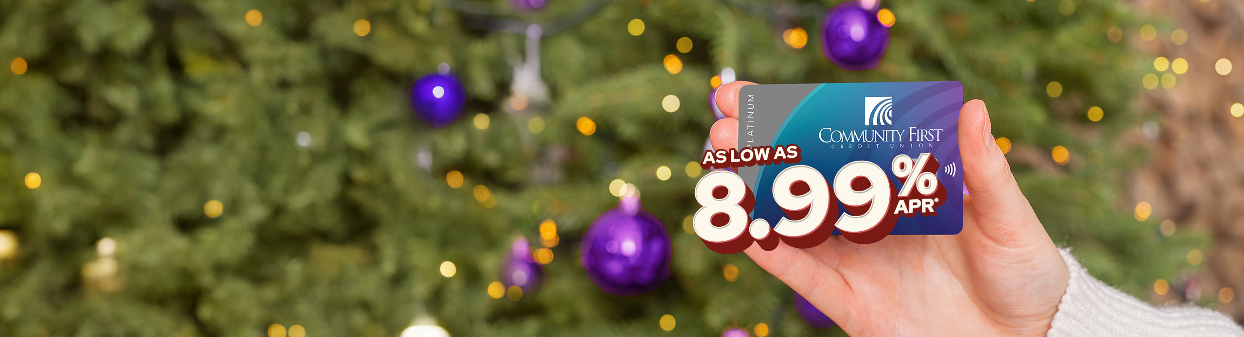 Hand Holding Great Rate Credit Card