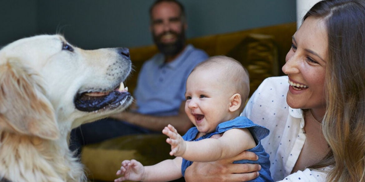 happy family and dog.