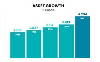 Asset growth graph