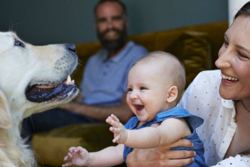 happy family